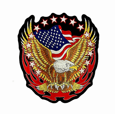  "Reflective Eagle" (27   x 30 ) Hot Leathers  !!!