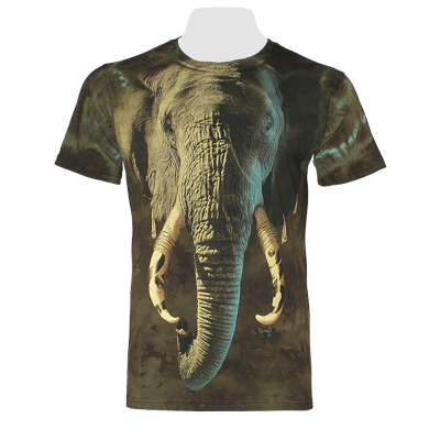 �������� ������ "���� �����������" Krasar  